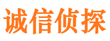 鲁甸找人公司